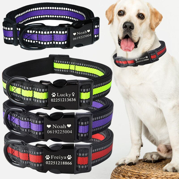 HKM-3584317 Customizable Dog Collar with Adjustable Sizing for Small to Large Dogs