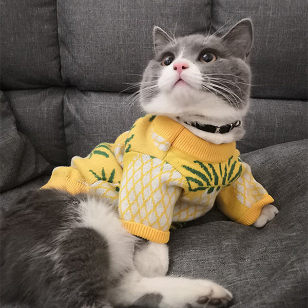 HKM-3586237 Adorable Yellow Pineapple Print Wool Pet Sweater for Autumn and Winter, Sizes S-XXL