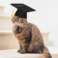 HKM-3586621 Black Doctoral Hat and Bow Tie Set for Pets, Size S, Polyester Material