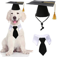 HKM-3586621 Black Doctoral Hat and Bow Tie Set for Pets, Size S, Polyester Material