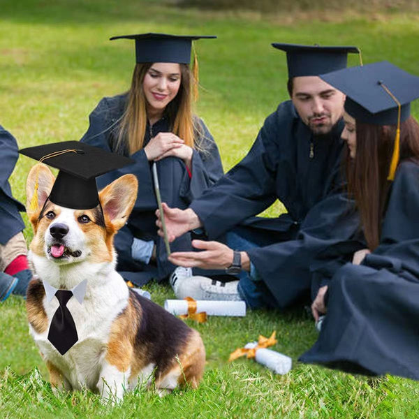 HKM-3586621 Black Doctoral Hat and Bow Tie Set for Pets, Size S, Polyester Material
