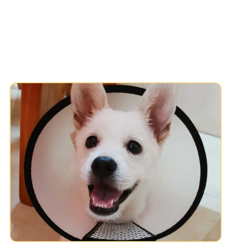 HKM-3595965 Universal Anti-Licking Sterilization Collar for Cats and Dogs ¨C Multi-Size Recovery Pet Neckwear