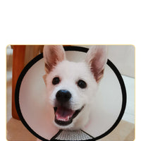 HKM-3595965 Universal Anti-Licking Sterilization Collar for Cats and Dogs ¨C Multi-Size Recovery Pet Neckwear