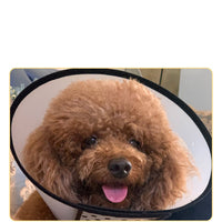 HKM-3595965 Universal Anti-Licking Sterilization Collar for Cats and Dogs ¨C Multi-Size Recovery Pet Neckwear