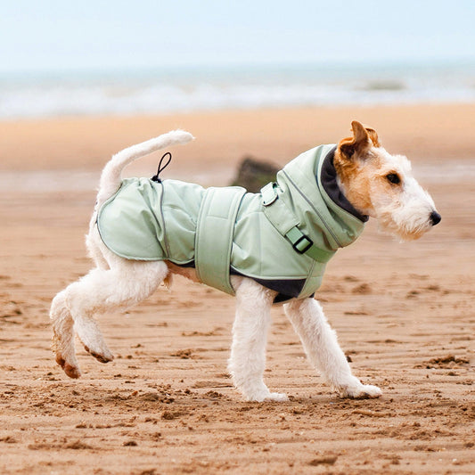 HKM-3598525 Autumn and Winter Wind-Proof Dog Shell Jacket in Bean Green, Beige, and Black Sizes S to 2XL