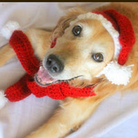 HKM-3598781 Hand-Knitted Wool Hat and Scarf Set for Pets - Solid Color Red, Stylish Design