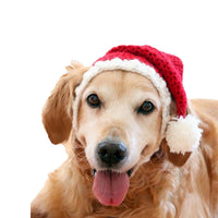 HKM-3598781 Hand-Knitted Wool Hat and Scarf Set for Pets - Solid Color Red, Stylish Design