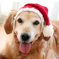 HKM-3598781 Hand-Knitted Wool Hat and Scarf Set for Pets - Solid Color Red, Stylish Design