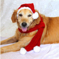 HKM-3598781 Hand-Knitted Wool Hat and Scarf Set for Pets - Solid Color Red, Stylish Design