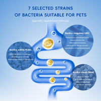 HKM-3599805 Premium Probiotics for Dogs & Cats with 7 Tailored Strains, 5 Billion CFU, Prebiotics, Pumpkin & Carrot – Gut & Immune Support