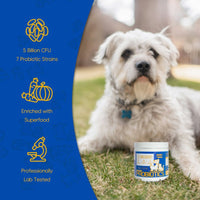 HKM-3599805 Premium Probiotics for Dogs & Cats with 7 Tailored Strains, 5 Billion CFU, Prebiotics, Pumpkin & Carrot – Gut & Immune Support