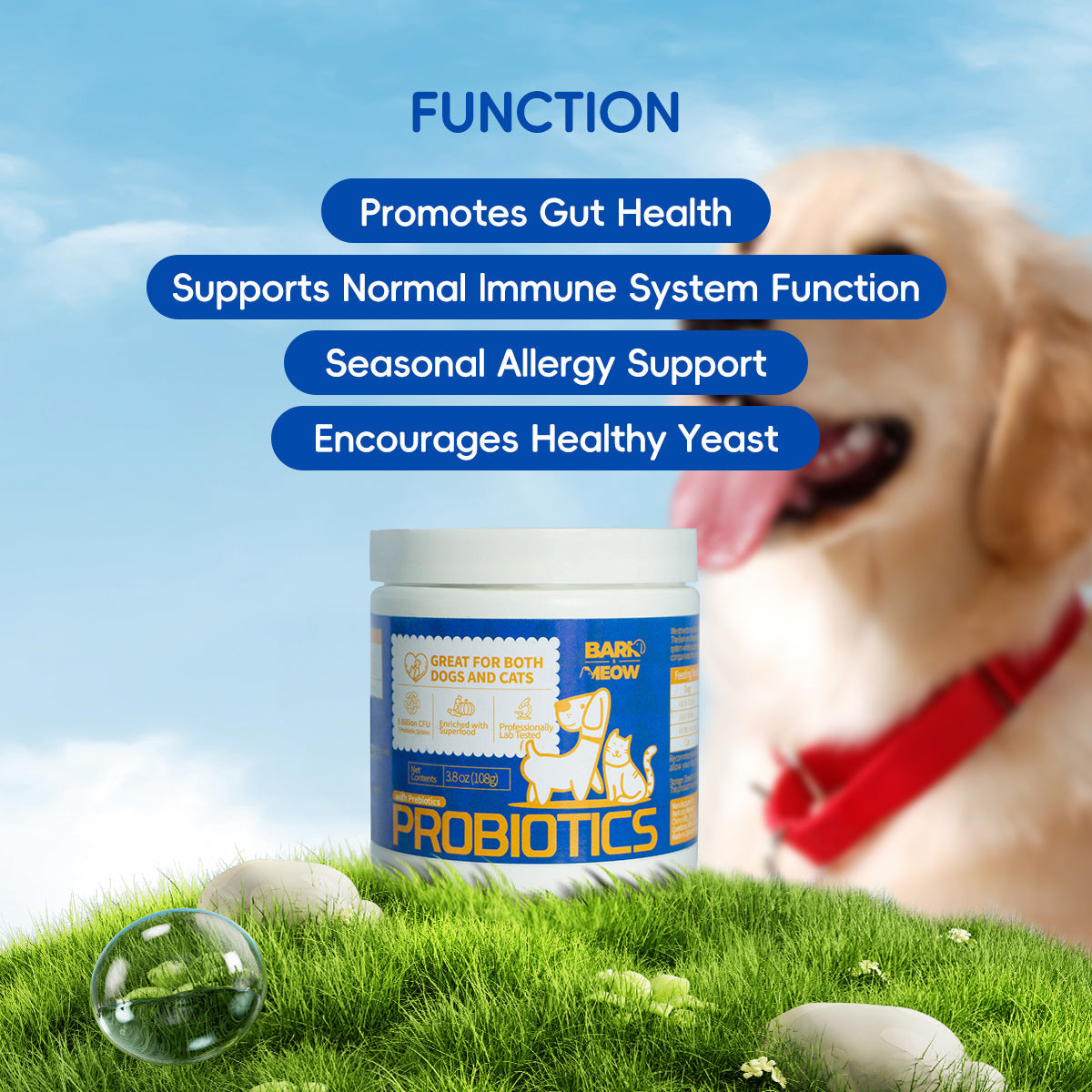 HKM-3599805 Premium Probiotics for Dogs & Cats with 7 Tailored Strains, 5 Billion CFU, Prebiotics, Pumpkin & Carrot – Gut & Immune Support