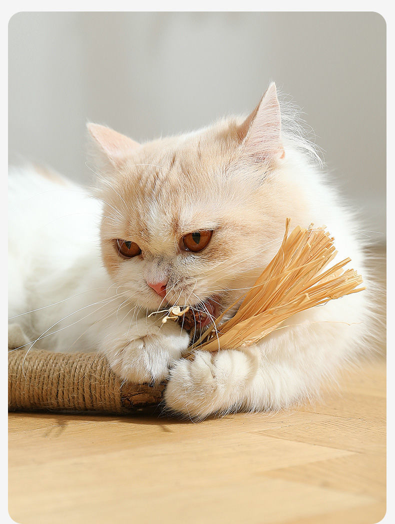 HKM-3602365 Oversized Raffia Molar Rod for Cats - Durable Catnip Toy for Teeth and Play