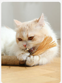 HKM-3602365 Oversized Raffia Molar Rod for Cats - Durable Catnip Toy for Teeth and Play
