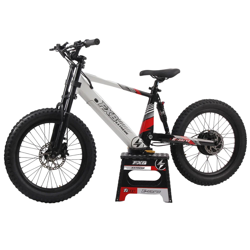 HKM-360659 20-Inch Electric Balance Bike for Kids, 36V 800W/1200W Motor, Aluminum Frame, Off-Road FAT Tires, Hydraulic Brakes