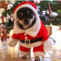 HKM-3613629 Three-Dimensional Christmas Suit with Hat for Dogs