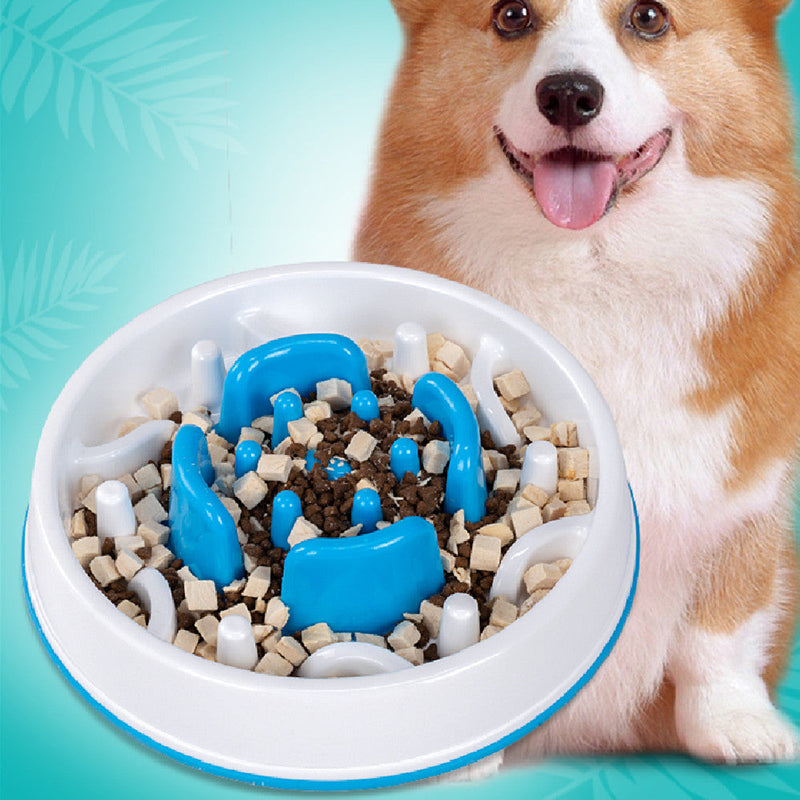 HKM-3615421 Round Anti-Knock Slow Feed Dog Bowl - White and Blue, 5.5 cm Height, Indoor Use