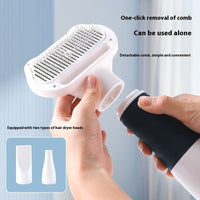 HKM-3616701 3-in-1 Pet Hair Blower and Comb - 600W, Durable ABS, 2-Meter Cord, Ideal for Dogs