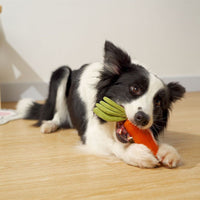 HKM-3621821 Durable Rubber Carrot Toy for Small and Medium Puppies with Sound Feature