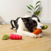 HKM-3621821 Durable Rubber Carrot Toy for Small and Medium Puppies with Sound Feature