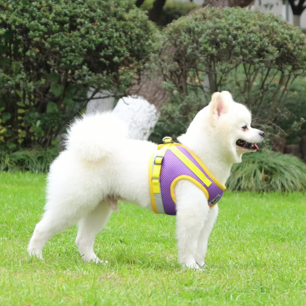 HKM-3626557 Reflective Breathable Vest-Type Dog Leash with Chest Harness in Multiple Colors