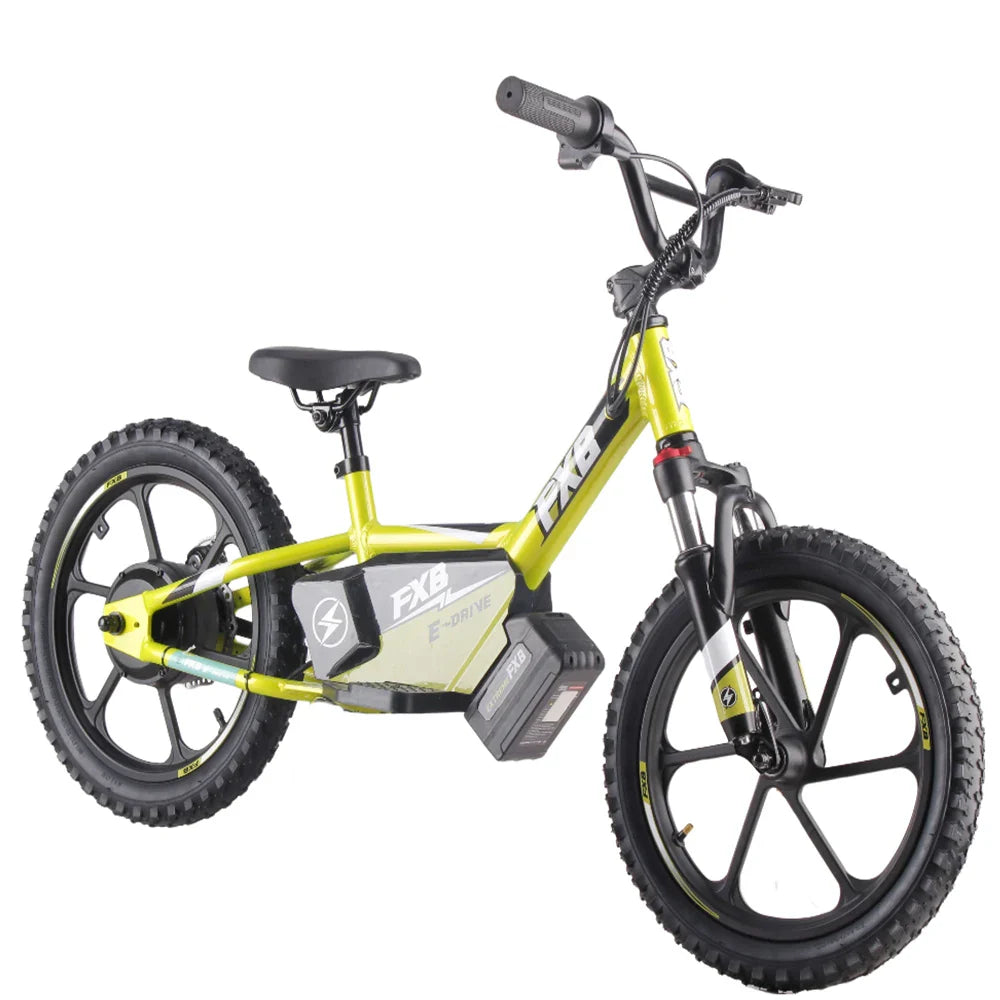 HKM-362963 16-Inch Electric Balance Bike for Kids - 350W No Pedal Bicycle with Rear Hub Motor