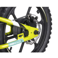 HKM-362963 16-Inch Electric Balance Bike for Kids - 350W No Pedal Bicycle with Rear Hub Motor