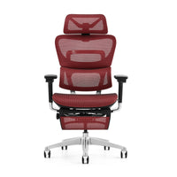 HKM-363155 Ergonomic High Back Office Chair with Adjustable Headrest and Swivel Nylon Mesh Design