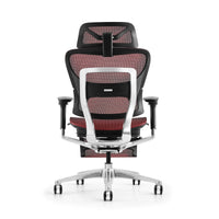 HKM-363155 Ergonomic High Back Office Chair with Adjustable Headrest and Swivel Nylon Mesh Design