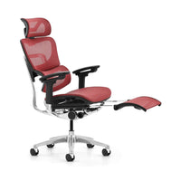HKM-363155 Ergonomic High Back Office Chair with Adjustable Headrest and Swivel Nylon Mesh Design