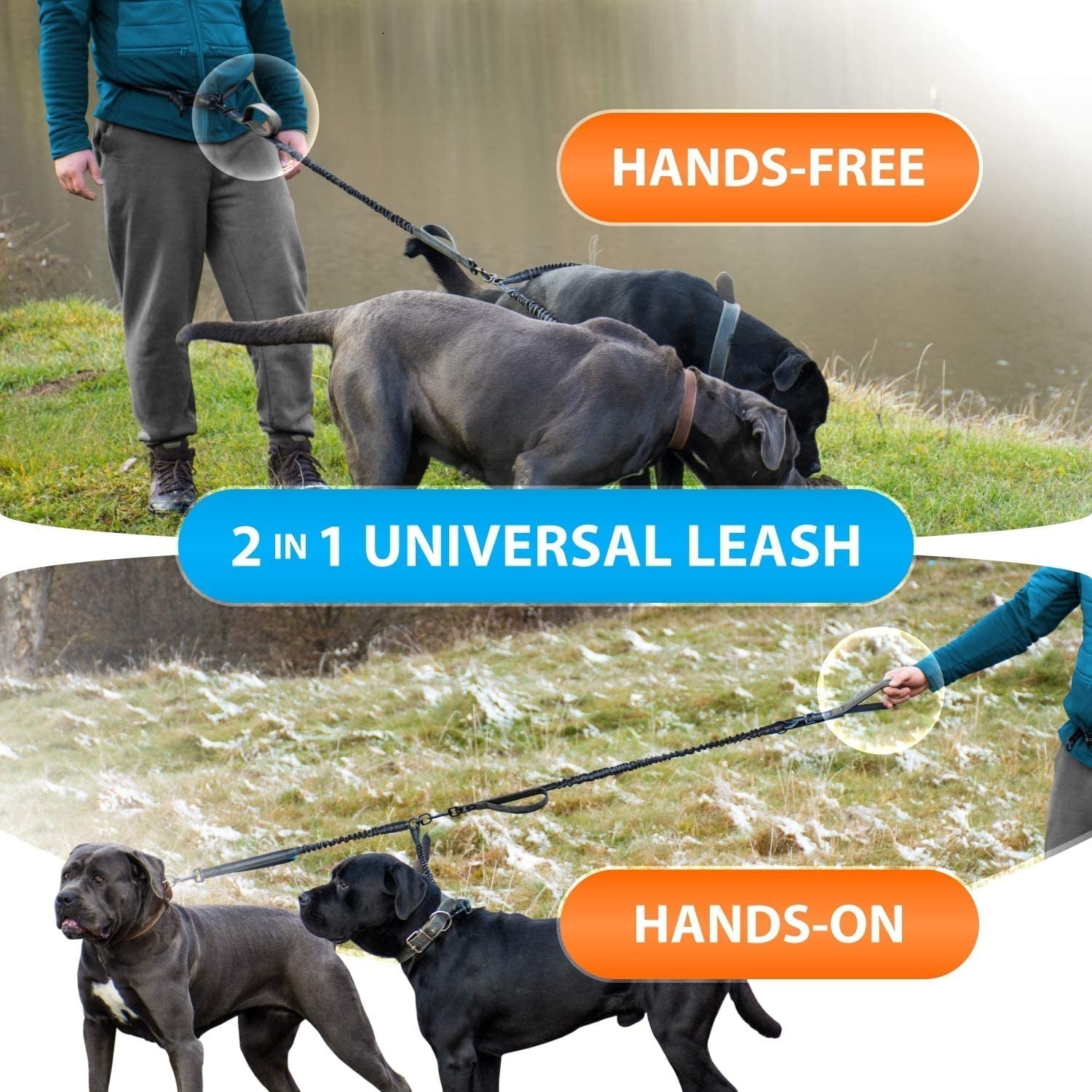 HKM-3636285 Durable Nylon Pet Running Leash with Hand Holding Rope - Multiple Color Options