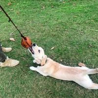 HKM-3640893 Leather Dog Training Bite Ball Toy with Handle for Tug and Fetch Play