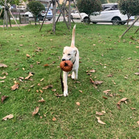 HKM-3640893 Leather Dog Training Bite Ball Toy with Handle for Tug and Fetch Play
