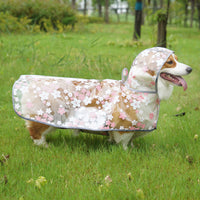 HKM-3642813 Floral TPU Raincoat for Medium-Sized Dogs - Available in Pink and Yellow