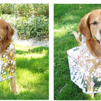 HKM-3642813 Floral TPU Raincoat for Medium-Sized Dogs - Available in Pink and Yellow