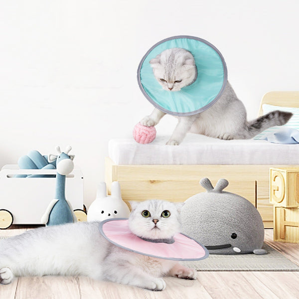 HKM-3649981 Pet Circle Collar for Cats - Light Blue, Pink, Fruit Green - Size M, L, XL, Polyester Material