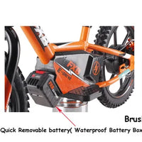 HKM-365267 16-Inch 250W Electric Balance Bike for Kids - No Pedals, Steel Fork, Aluminum Frame, CE Certified