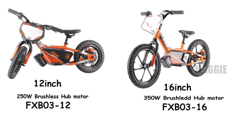 HKM-365267 16-Inch 250W Electric Balance Bike for Kids - No Pedals, Steel Fork, Aluminum Frame, CE Certified