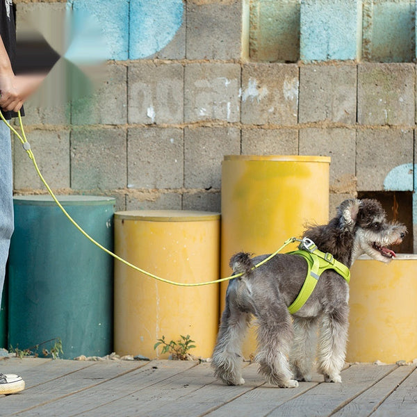 HKM-3655229 Colorful Adjustable Nylon Pet Leash with Zinc Alloy Hooks and Plastic Buckle