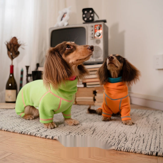 HKM-3658301 Cozy Waffle Pullover for Dachshunds - Four-Legged Pet Clothing for All Seasons