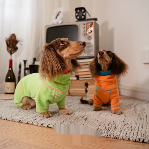 HKM-3658301 Cozy Waffle Pullover for Dachshunds - Four-Legged Pet Clothing for All Seasons