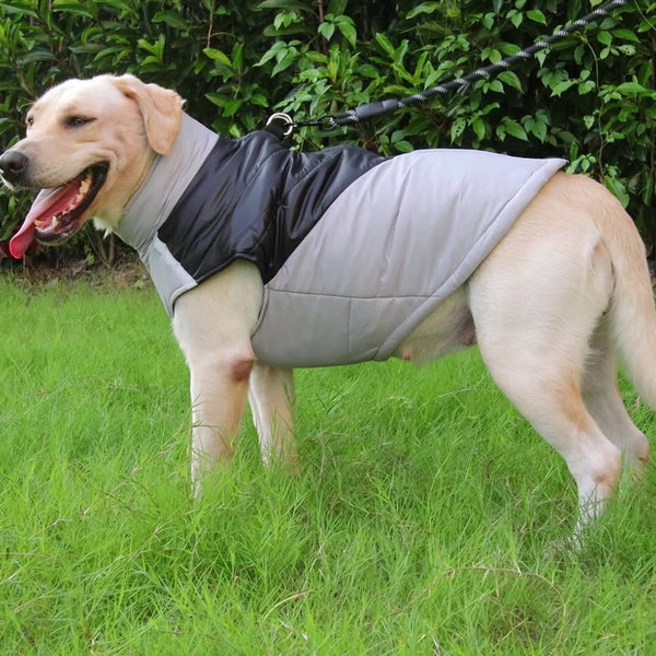 HKM-3658813 Thickened Windproof Cotton Vest for Pets - Multiple Colors & Sizes Available