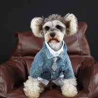 HKM-3661885 Casual Blue Denim Dog Shirt - Cotton Spring/Summer Apparel