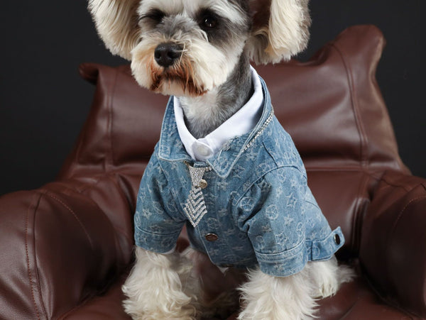 HKM-3661885 Casual Blue Denim Dog Shirt - Cotton Spring/Summer Apparel