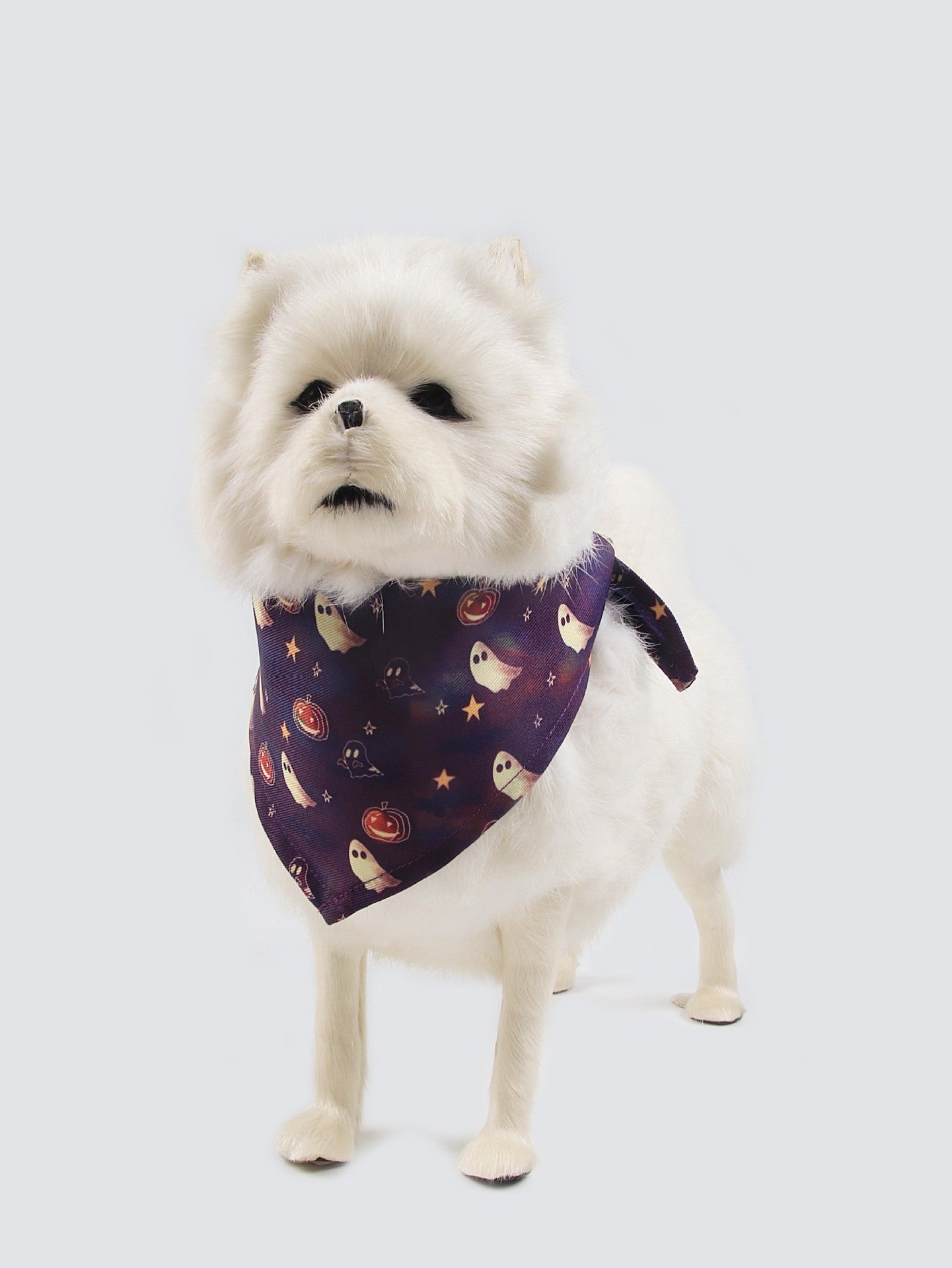 HKM-3664061 Fleece-Lined Pet Clothing for Autumn and Winter - Available in Multiple Sizes