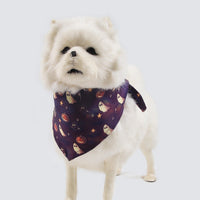 HKM-3664061 Fleece-Lined Pet Clothing for Autumn and Winter - Available in Multiple Sizes