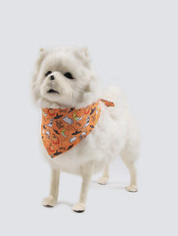 HKM-3664061 Fleece-Lined Pet Clothing for Autumn and Winter - Available in Multiple Sizes