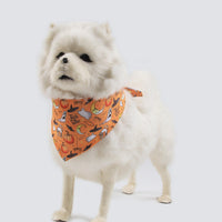 HKM-3664061 Fleece-Lined Pet Clothing for Autumn and Winter - Available in Multiple Sizes