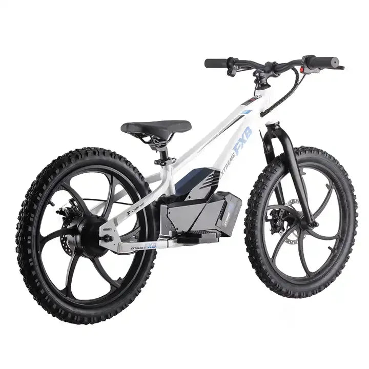 HKM-366419 Children's Electric Balance Bike with Disc Brake, 400W/600W Power, 20-Inch Aluminum Frame, Max Speed 45 km/h, Waterproof Design