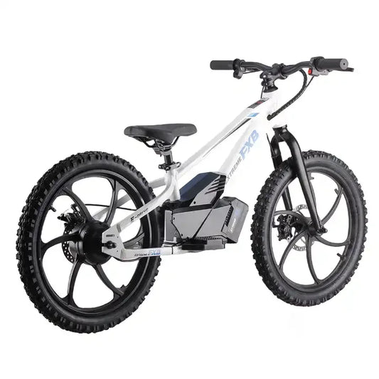 HKM-366419 Children's Electric Balance Bike with Disc Brake, 400W/600W Power, 20-Inch Aluminum Frame, Max Speed 45 km/h, Waterproof Design